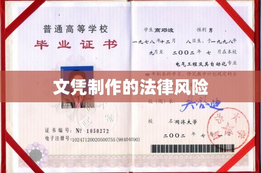 东宝文凭制作的法律风险